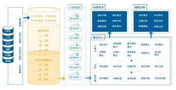 雅森科技陳暉 十年求索，探路醫(yī)療AI的上海實(shí)踐與需求邊界